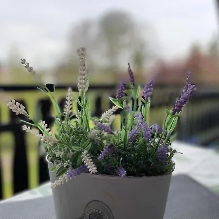 Ferienwohnung Wiesenblick 아파트